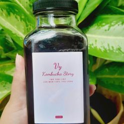 Kombucha dâu tằm