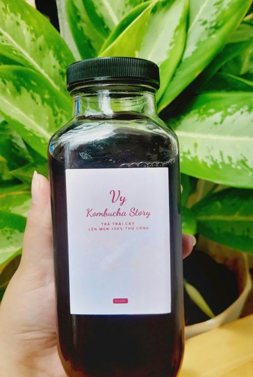 Kombucha dâu tằm