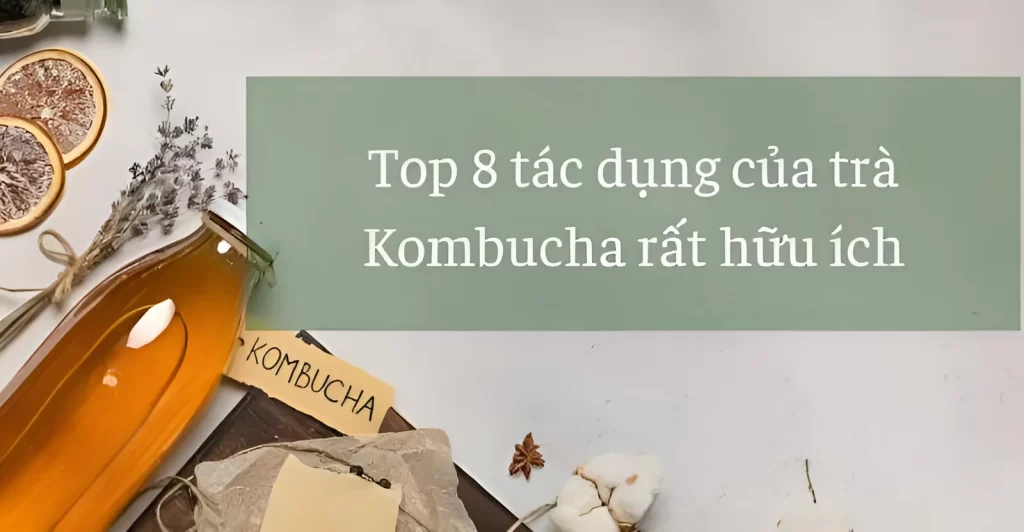 Top 8 lợi ích trà kombucha