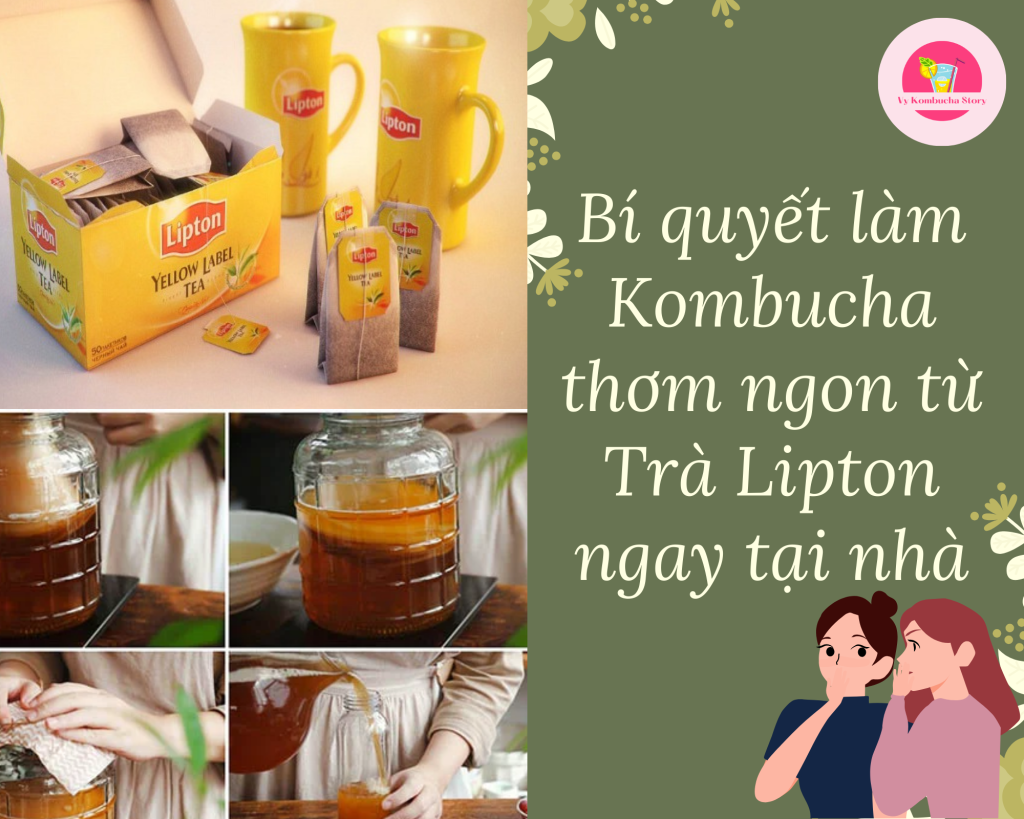 làm kombucha bằng trà lipton