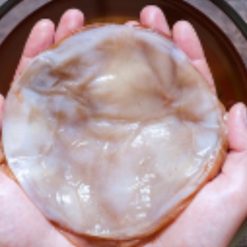 Công dụng của Scoby