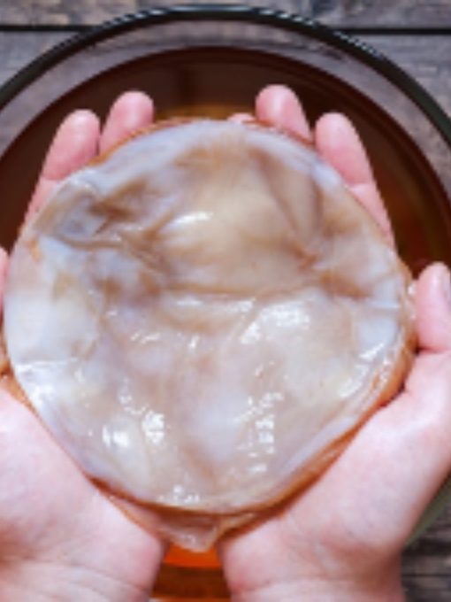 Công dụng của Scoby