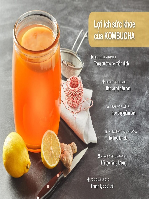 Kombucha truyền thống 