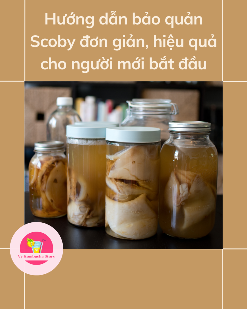 bảo quản scoby