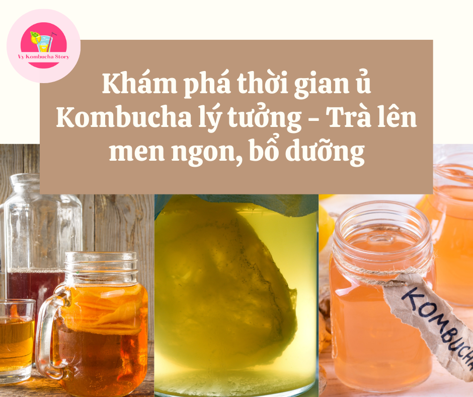 ủ kombucha