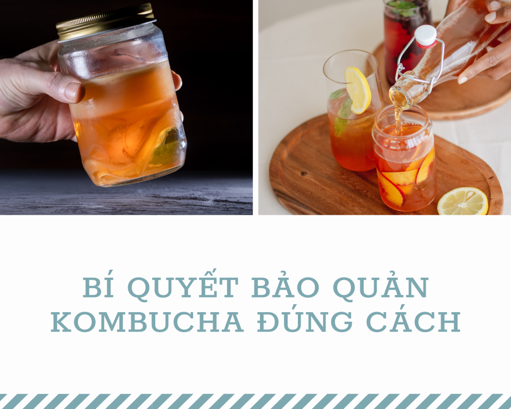 Bảo quản kombucha