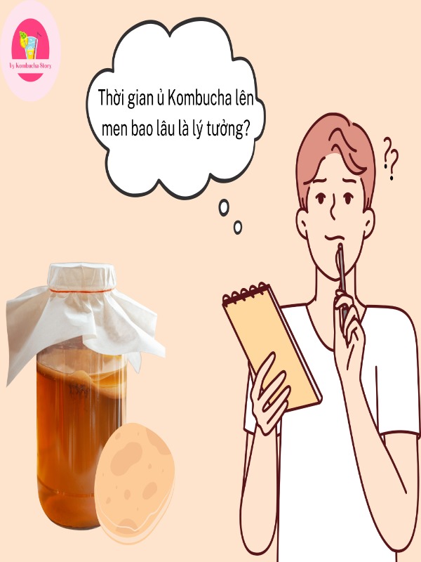 Thời gian ủ kombucha 