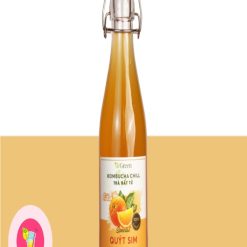 kombucha mix trái cây