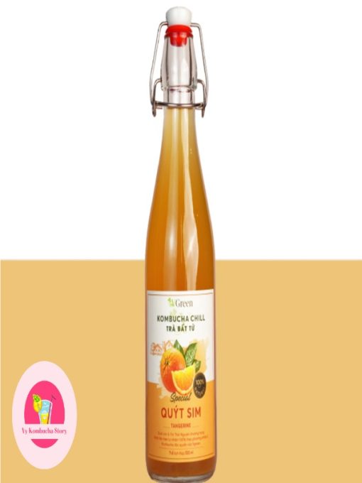 kombucha mix trái cây