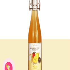 kombucha mix trái cây